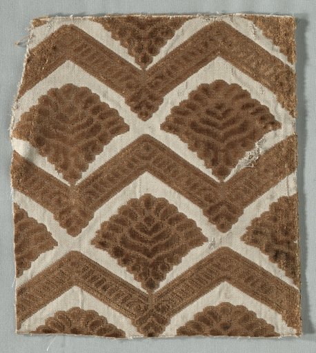 Velvet Fragment