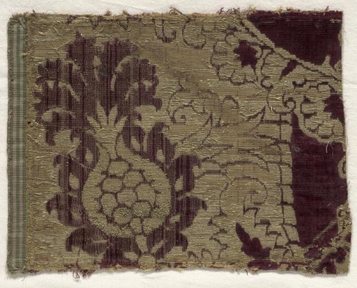 Velvet Fragment