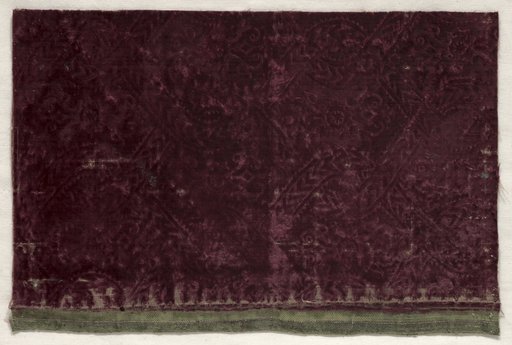 Fragment of Stamped Velvet