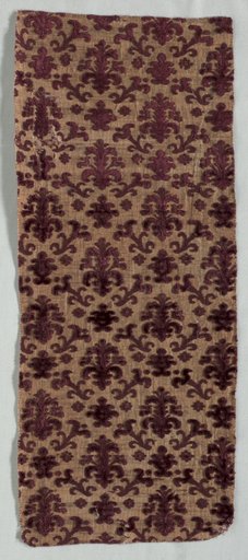 Velvet Fragment