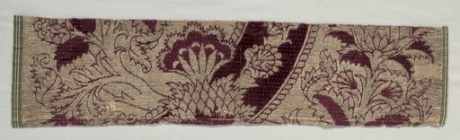 Velvet Fragment