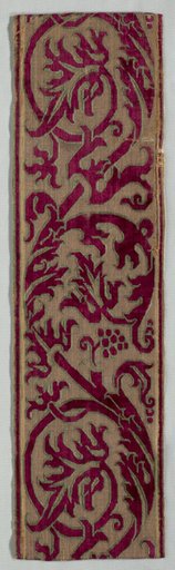 Border Fragment
