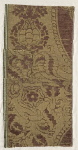 Fragments of Velvet Brocade
