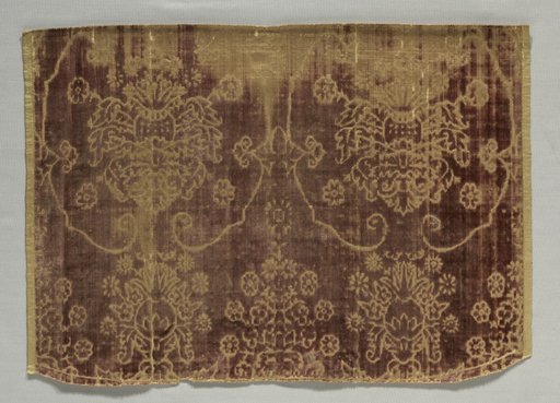 Velvet Fragment