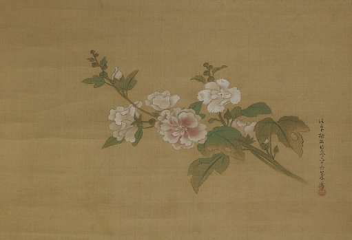 A branch of flowering hibiscus