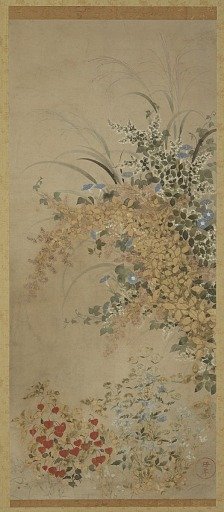 Flowers and grasses