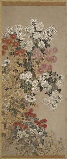Chrysanthemums