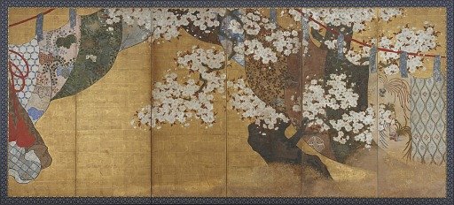 Wind-screen and cherry tree 桜に幔幕図屏風