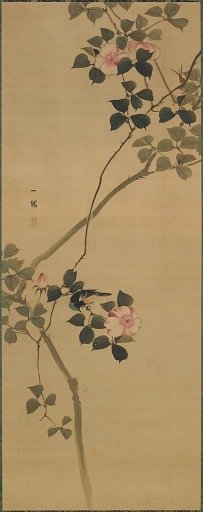 Wild rose and a bird
