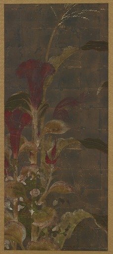 Coxcombs, maize and morning-glories