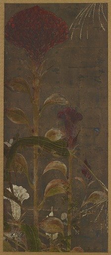 Coxcombs, maize and morning-glories
