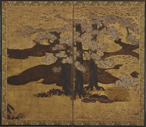 Blossoming cherry trees