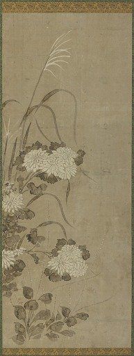 White chrysanthemums and grasses
