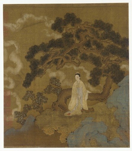 Lady under a gnarled pine tree