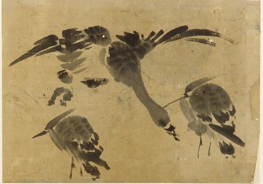 Two herons and a goose
