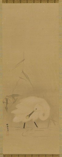 A spoonbill and water-grass
