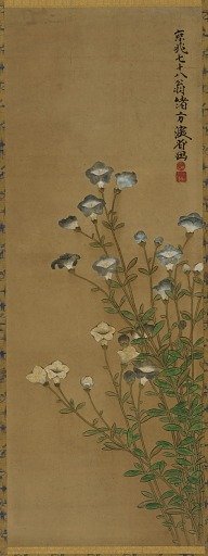 Blue and white flowers on slender stalks