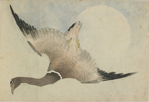 Goose flying in front of the moon