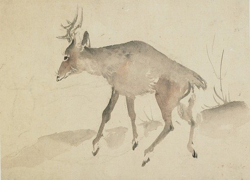 Deer
