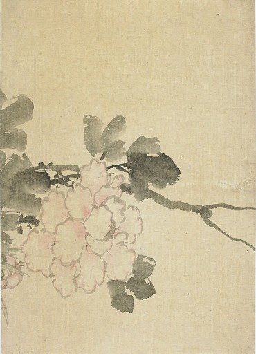 Peony