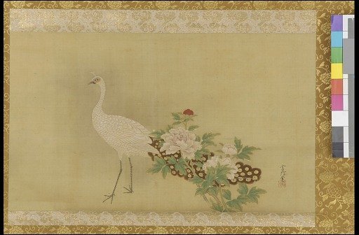 White peacock and peonies