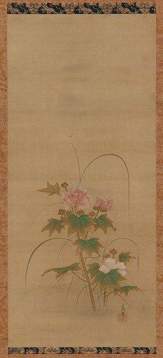 Hibiscus (part of a set, F1904.379-381)