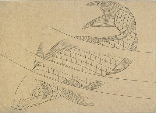 Swimming carp