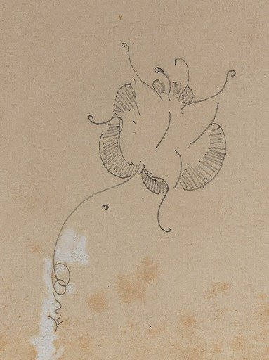 Whistler's Butterfly