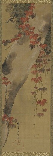 Pine tree and autumn vine
