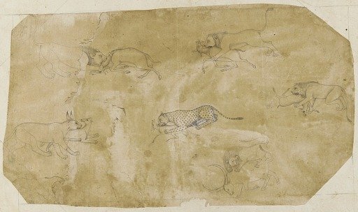 Six groups of fighting animals