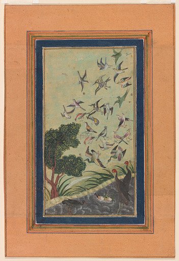 Birds at Baran, possibly from the Babur-nama
