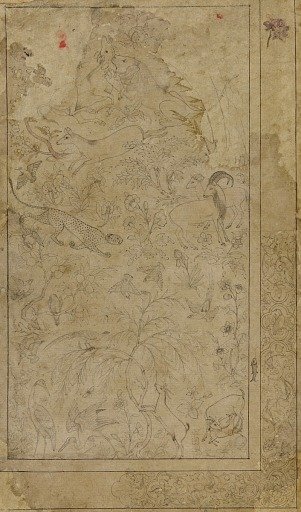 Drawing of animals and plants