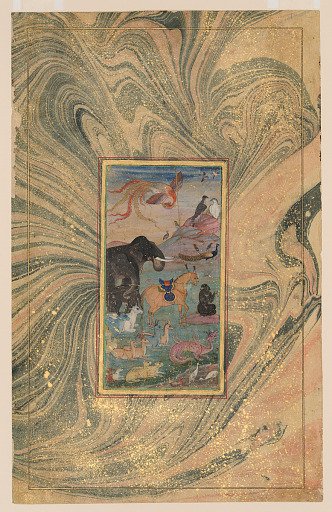 Animals and Birds