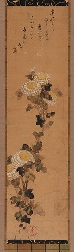 Chrysanthemums