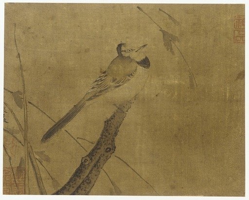 Bird on a leafless branch