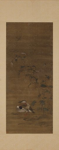 Mandarin ducks under smartweed