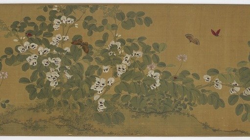 Broad bean flowers and butterflies