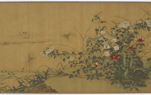 Flowers, plants, and insects