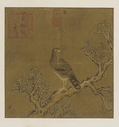An eagle on a branch