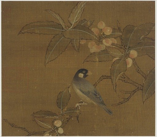 Java Sparrow on a berry branch
