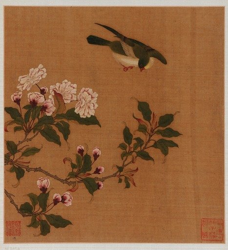 A Bird hovering over blossoming branches