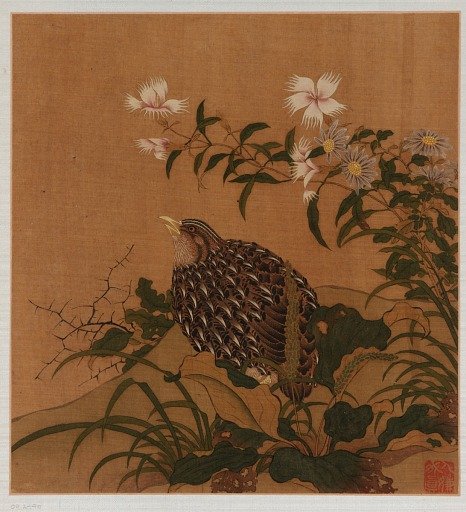 Quail and flowers