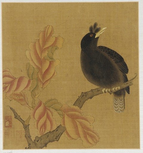 A blackbird on a branch; autumn leaves