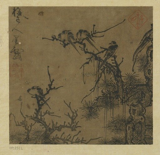 Birds and pines