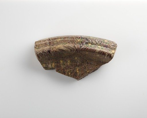 Fragment of a plate with a heavy moulded rim