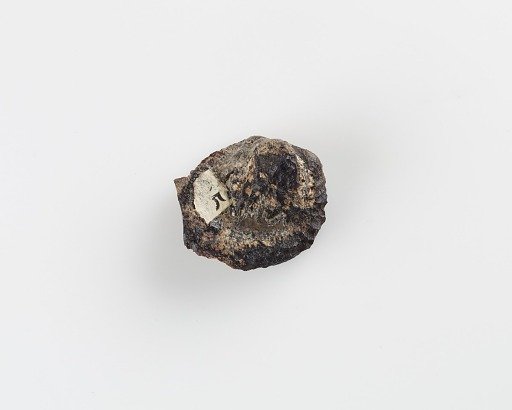 Fragment