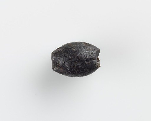 Bead