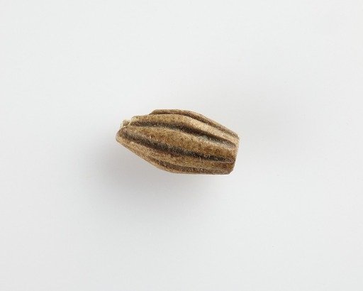 Bead, melon-shaped