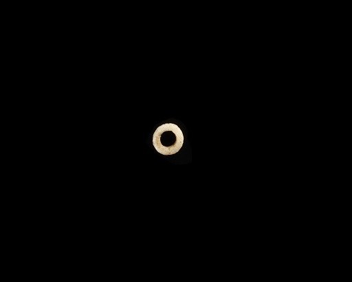 Bead