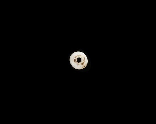 Bead